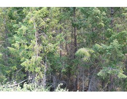 Lot 21 Copper Point Way, Windermere, BC V0A1L0 Photo 2