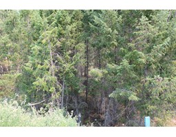 Lot 21 Copper Point Way, Windermere, BC V0A1L0 Photo 4