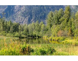 9505 Lillooet Forest Service Road, Pemberton, BC V0N2L0 Photo 5