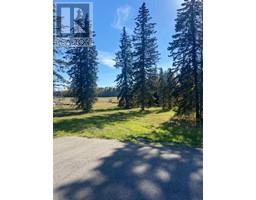 309 Valley View Drive, Rural Clearwater County, AB T4T1A7 Photo 2