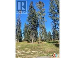 313 Valley View Drive, Rural Clearwater County, AB T4T1A7 Photo 2