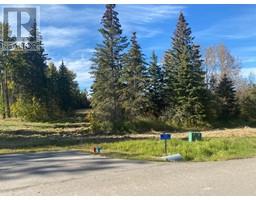 169 Meadow Ponds Drive, Rural Clearwater County, AB T4T1A7 Photo 2