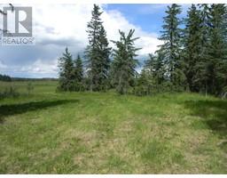 116 Meadow Ponds Drive, Rural Clearwater County, AB T4T1A7 Photo 4