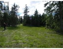 116 Meadow Ponds Drive, Rural Clearwater County, AB T4T1A7 Photo 2