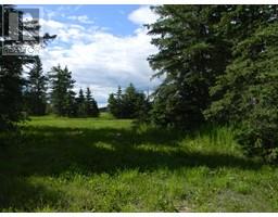 108 Meadow Ponds Drive, Rural Clearwater County, AB T4T1A7 Photo 4