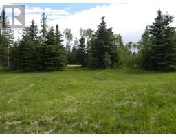 120 Meadow Ponds Drive, Rural Clearwater County, AB T4T1A7 Photo 5