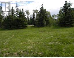 120 Meadow Ponds Drive, Rural Clearwater County, AB T4T1A7 Photo 6