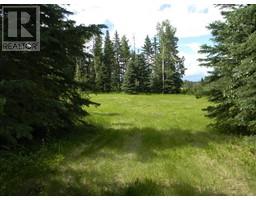 120 Meadow Ponds Drive, Rural Clearwater County, AB T4T1A7 Photo 4