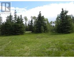 120 Meadow Ponds Drive, Rural Clearwater County, AB T4T1A7 Photo 2