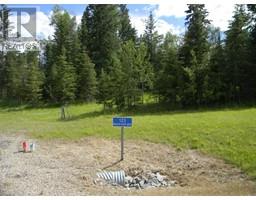 123 Meadow Ponds Drive, Rural Clearwater County, AB T4T1A7 Photo 5