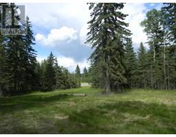 123 Meadow Ponds Drive, Rural Clearwater County, AB T4T1A7 Photo 2