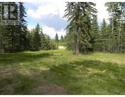 123 Meadow Ponds Drive, Rural Clearwater County, AB T4T1A7 Photo 7