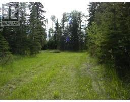 123 Meadow Ponds Drive, Rural Clearwater County, AB T4T1A7 Photo 4