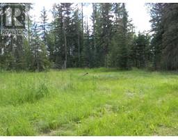 131 Meadow Ponds Drive, Rural Clearwater County, AB T4T1A7 Photo 3