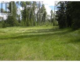 127 Meadow Ponds Drive, Rural Clearwater County, AB T4T1A7 Photo 4