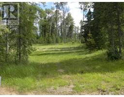 127 Meadow Ponds Drive, Rural Clearwater County, AB T4T1A7 Photo 3