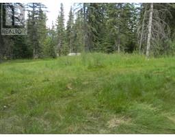 131 Meadow Ponds Drive, Rural Clearwater County, AB T4T1A7 Photo 5