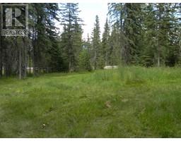 131 Meadow Ponds Drive, Rural Clearwater County, AB T4T1A7 Photo 4