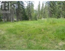 131 Meadow Ponds Drive, Rural Clearwater County, AB T4T1A7 Photo 6