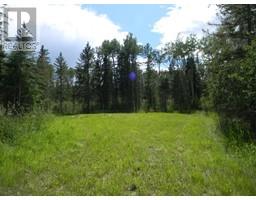 115 Meadow Ponds Drive, Rural Clearwater County, AB T4T1A7 Photo 4