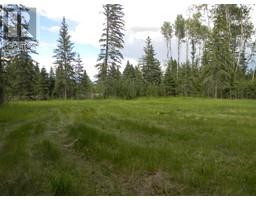 119 Meadow Ponds Drive, Rural Clearwater County, AB T4T1A7 Photo 3