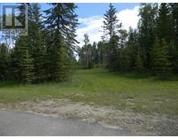119 Meadow Ponds Drive, Rural Clearwater County, AB T4T1A7 Photo 4