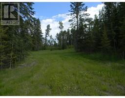 119 Meadow Ponds Drive, Rural Clearwater County, AB T4T1A7 Photo 2