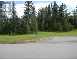 119 Meadow Ponds Drive, Rural Clearwater County, AB T4T1A7 Photo 5