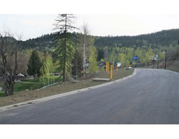 445 Copper Road, Rossland, BC V0G1Y0 Photo 3