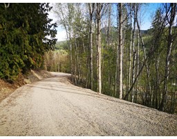 445 Copper Road, Rossland, BC V0G1Y0 Photo 7