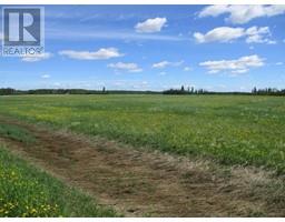 9231001 Twp Rd 920, Rural Northern Lights County Of, AB T0H2M0 Photo 4