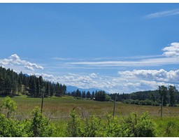 5130 Munro Road, Lake Koocanusa, BC V0B1T5 Photo 6