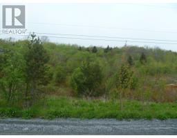 Lot 1 Lemarchant Street, Carbonear, NL A1Y1A9 Photo 4