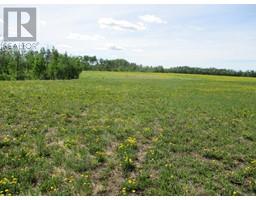 15231004 Twp Rd 920, Rural Northern Lights County Of, AB T0H2M0 Photo 7