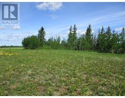 15231004 Twp Rd 920, Rural Northern Lights County Of, AB T0H2M0 Photo 6