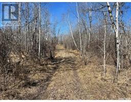 Hunting Adventure Quarter Section, Parkdale Rm No 498, SK S0M1J0 Photo 6