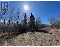 Hunting Adventure Quarter Section, Parkdale Rm No 498, SK S0M1J0 Photo 4