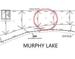 Lot 5 Murphy Lake Rm Of Loon Lake, Rural, SK S0M1L0 Photo 4