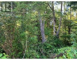 1797 Rainforest Lane, Ucluelet, BC V0R3A0 Photo 3