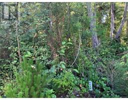 1797 Rainforest Lane, Ucluelet, BC V0R3A0 Photo 4