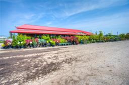 4670 6 Highway S, Hagersville, ON N0A1H0 Photo 3