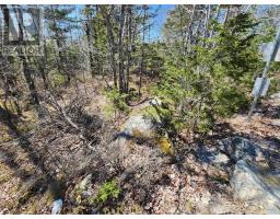 Lot Ac 1 Medway Harbour Road, Mill Village, NS B0J2H0 Photo 2