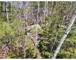 Lot Ac 1 Medway Harbour Road, Mill Village, NS B0J2H0 Photo 3
