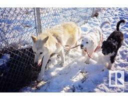 512227 Rge Rd 280, Rural Parkland County, AB T7Y3H6 Photo 5