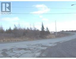 30 46 Highroad Other N, Carbonear, NL A1Y1A8 Photo 3