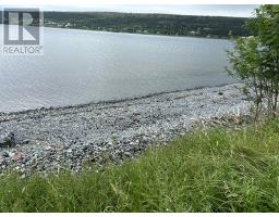 6 8 Old Water Street, Harbour Grace, NL A0A2M0 Photo 6