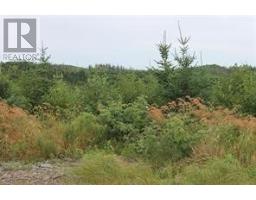 Lot 129 Country Path, Brigus Junction, NL A0B1G0 Photo 3