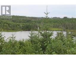 Lot 129 Country Path, Brigus Junction, NL A0B1G0 Photo 4