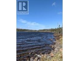 Lot 129 Country Lane, Brigus Junction, NL A0B1G0 Photo 6