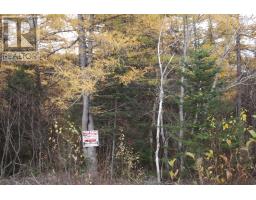 34 60 Rattling Brook Road, Norris Arm, NL A0G3M0 Photo 3